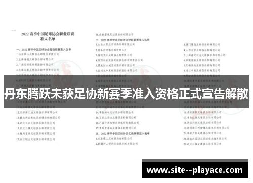 丹东腾跃未获足协新赛季准入资格正式宣告解散